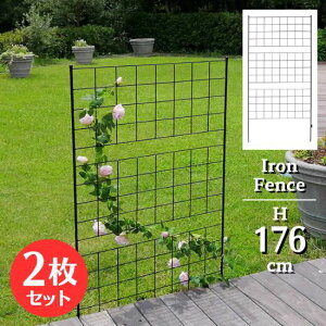 ACA tFX 3i 176cm 2Zbg Ԓd | nC^Cv gX eBX iq IxXN ډB O d؂ ͂  gXtFX K[h K[fjO t[K[f G