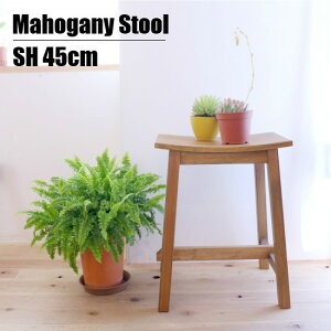 yz }zKj[ Xc[ ʍ45cm 36.5cm 46.5cm VR ؐ }zKj[ Ebh Xc[ ֎q JE^[`FA `FA `FA[ | ԑ t[X^h C ub