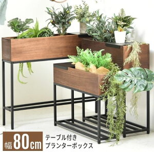 v^[{bNX 80cm e[ut v^[X^h TChe[u v^[bN t[bN t[X^h ԑ rt }`bN bN VFt ACA ؐ 