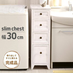 Vr[X^C ؐ 4i X`FXg 30cm AeB[N VR Ԏ[ `FXg 4t o o XgbJ[ h[[ d  I i ANZT[P[