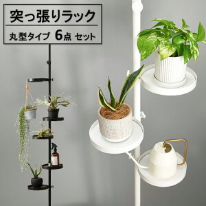 ˂ |[bN ی^ 6_Zbg v^[bN [  ֎[ ǖʎ[ bN v^[X^h [ |[nK[ nK[bN fBXvCbN ς