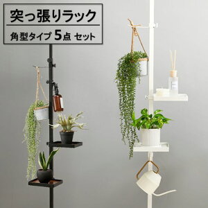 ˂ |[bN p^ 5_Zbg v^[bN [  ֎[ ǖʎ[ bN v^[X^h [ |[nK[ nK[bN fBXvCbN ς