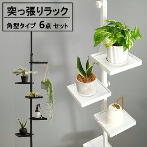 ˂ |[bN p^ 6_Zbg v^[bN [  ֎[ ǖʎ[ bN v^[X^h [ |[nK[ nK[bN fBXvCbN ς