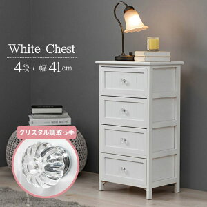 NX^nh zCg `FXg 4i 41cm  zCg ؐ ރ`FXg VR ރP[X 4o 4t o o A4  I [ i ANZT[P[X i`