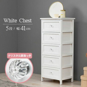 NX^nh zCg `FXg 5i 41cm  zCg ؐ ރ`FXg VR ރP[X o 5t o o A4  I [ i ANZT[P[X i`