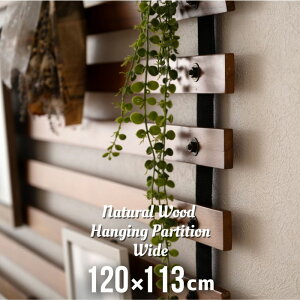 VR ݂艺 p[e[V Ch 120×113cm p[eBV [p[e[V d؂ ؐ VR Ԏd؂ i` uE F fBXvC uCh ؖ Ebh 