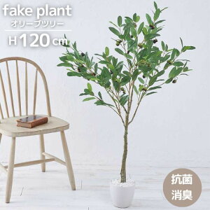 tFCNO[ I[u c[ 120cm ϗtA tFCNvc 120Z` ^ ډB  A sv A G}H L Rی hL {^jJ K[fj