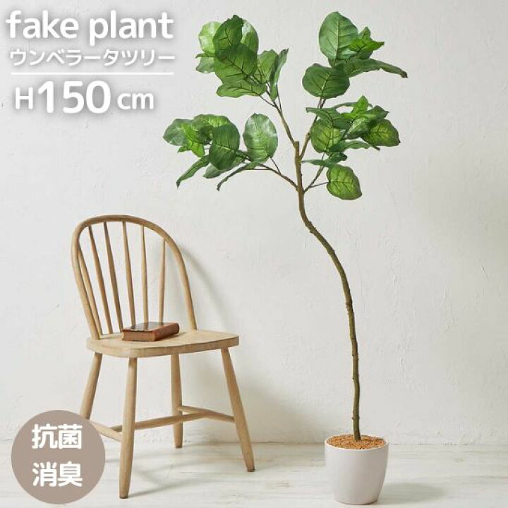 楽天市場】フェイクグリーン ウンベラータ ツリー 高さ150cm 観葉植物 