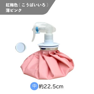 ACXobOXv[(XX₦vV)ӂt ACXobO~XgV[ Xv[eisXg^Cvj2IN1ACXobO n X̂ Ђ傤̂ X|[c ACVO XX g