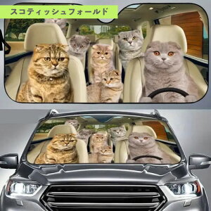 ˂傫߂̃TVF[hV[Ŷ݃TCYł܂B