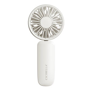 y2025ŐV^ozVVx PnfBt@ P gѐ@ y nfBt@ 񂩂@ ~j@ @ ^@ gѐ@ lbNt@ [d Type-CΉ 莝 