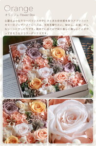 vU[uht[ t[{bNXytVXz Mtg v[g a  LO j jd d   e   ސEj җj ̓   