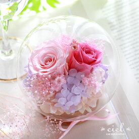 楽天市場 インスタ映え プレゼント プリザーブドフラワー 花 観葉植物 花 ガーデン Diyの通販