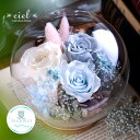 プリザーブドフラワー【ソフィア】ガラスドーム プレゼント 誕生日 花 結婚記念日 結婚祝い 祝電 電報 結婚式 お見舞い 両親 妻 花 退職祝い 還暦祝い 母の日 女性 送料無料 かわいい おしゃれ インスタ映え ガラスケース 高級 プリザーブドフラワー