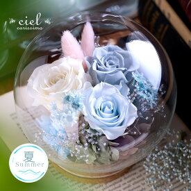 プリザーブドフラワー【ソフィア】ガラスドーム プレゼント 誕生日 花 結婚記念日 結婚祝い 祝電 電報 結婚式 お見舞い 両親 妻 花 退職祝い 還暦祝い 母の日 女性 送料無料 かわいい おしゃれ インスタ映え ガラスケース 高級 プリザーブドフラワー