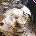 プリザーブドフラワー【ソフィア】ガラスドーム プレゼント 誕生日 花 結婚記念日 結婚祝い 祝電 電報 結婚式 お見舞い 両親 妻 花 退職祝い 還暦祝い 母の日 女性 送料無料 かわいい おしゃれ インスタ映え ガラスケース 高級 プリザーブドフラワー