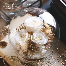 プリザーブドフラワー【ソフィア】ガラスドーム プレゼント 誕生日 花 結婚記念日 結婚祝い 祝電 電報 結婚式 お見舞い 両親 妻 花 退職祝い 還暦祝い 母の日 女性 送料無料 かわいい おしゃれ インスタ映え ガラスケース 高級 プリザーブドフラワー