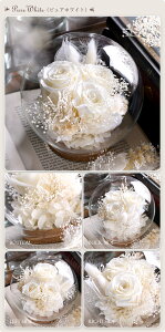 vU[uht[y\tBAzKXh[ v[g a  LO j jd d   e   ސEj җj ̓   킢 