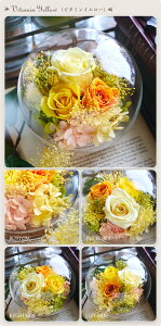 vU[uht[y\tBAzKXh[ v[g a  LO j jd d   e   ސEj җj ̓   킢 