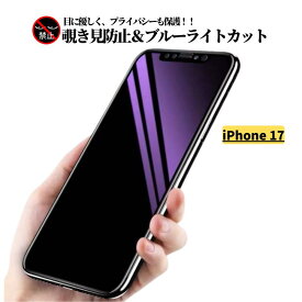 iPhone 17 覗き見防止 ブルーライトカット 強化ガラス フィルム 保護フィルム ガラスフィルム 光沢 指紋防止 飛散防止 硬度9H アイフォン ブルーライト iPhone17