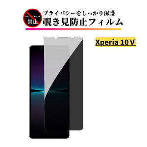 Xperia 10 V �`�����h�~ �K���X�t�B���� �S�ʕی� �ی�t�B���� �����K���X �t�B���� �G�N�X�y���A �\�j�[ Sony SO-52D SOG11 Xperia 10V Xperia10V
