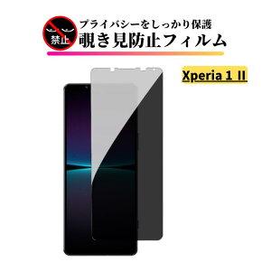 Xperia 1 II `h~ KXtB Sʕی یtB KX tB GNXyA \j[ SO-51A SOG01 XQ-AT42 Sony
