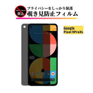 Google Pixel wFؑΉ `h~ KXtB tB یtB Pixel 10 Pro XL 10 10Pro 9Pro Fold 9Pro XL 9 9Pro 9a Jo[ KX O[O sNZ