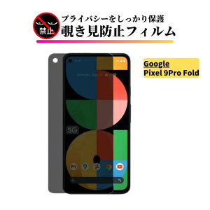 Google Pixel wFؑΉ `h~ KXtB tB یtB Pixel 10 Pro XL 10 10Pro 9Pro Fold 9Pro XL 9 9Pro 9a Jo[ KX O[O sNZ