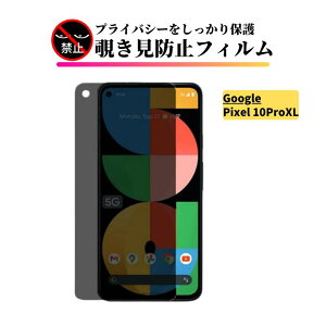 Google Pixel wFؑΉ `h~ KXtB tB یtB Pixel 10 Pro XL 10 10Pro 9Pro Fold 9Pro XL 9 9Pro 9a Jo[ KX O[O sNZ