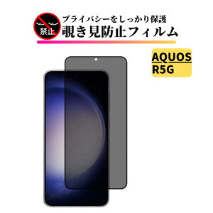 AQUOS R5G `h~ KXtB Sʕی یtB KX tB ANIX R 5G SH-51A SHG01