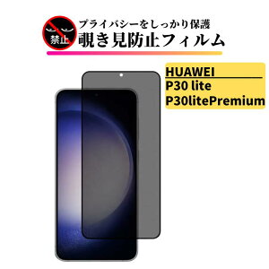HUAWEI P30 lite / P30 lite Premium `h~ KXtB tB KX یtB ̂ t@[EFC P30lite Premium