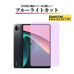 Xiaomi Pad / Redmi Pad �u���[���C�g�J�b�g �K���X�t�B���� �����K���X �t�B���� �ی�t�B���� �S�ʕی� ������ �d�x 9H ��U�h�~ �Ռ��z�� �w��h�~ Redmi Pad SE 2 2Pro Xiaomi Pad 8 8Pro 7 7Pro 6 6Pro 6S Pro 5 5P