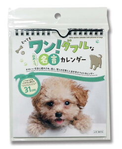 2026N ƂĂ_tȓ߂薼J_[/̂킢ʐ^ƈ̐ľtŖwׂ tHgJ_[