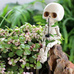 nEB  u |͋̕C ނ葜 H|i W Ղ O ~ z[ fR[V ǂu K[fI[ig ^   [sAi]