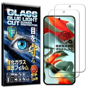 RISE �K���X�t�B���� Google Pixel 10 Pro XL/9 Pro XL �p �ی�t�B���� �y2�����z �y�w��F�ؑΉ��z �y�u���[���C�g�J�b�g�z �s�N�Z�� 10Pro xl/9Pro xl �p �t�B���� �t���ی� ���� �K���X �y���{��A