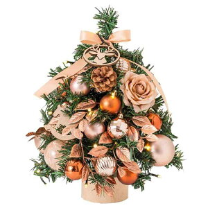 NX}Xc[  ~jc[ fXNgbvc[ NX}X LEDCgtdr I[ig Zbg   35CM