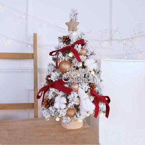 YAYAMIYA ~jNX}Xc[ c[ NX}X lH NX}X ~jc[ ledC~l[VCg dr I[igt LEDCgt   ͋C X 