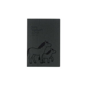 �y�f���t�H�j�b�N�X�蒠 2026�N�Ł^2026�N1���n�܂�zA6 �|�j�[