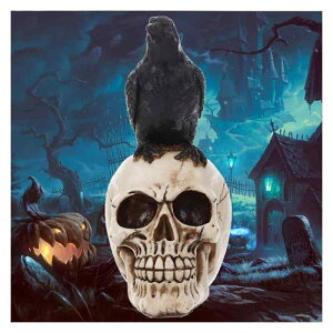 nEB[̃JX̓W |W W [ fnEB XJ hN nEB u  z[ XJ XPg Wu hN ͌^ nEBhN X