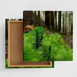 �A�� ���R �A�[�g�p�l�� 57cm × 57cm L�T�C�Y ���{�� �|�X�^�[ ������� �C���e���A �͗l�ւ� ���r���O ���� �O���[�� �� ���i �t�@�u���b�N�p�l�� rsb-0012-L