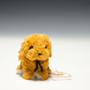 ̂ LfBtHe[k S[fgo[ ʂ 48221