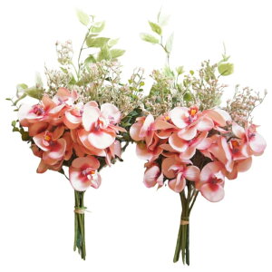   [Y p ̉ԑ sN LTCY    2 42cm MEMORIES PREMIUM  dp ͂Ȃ ~ ފ A { ͂Ȃ  I[Lbh sN L