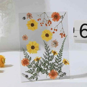 DIY ʓKXʐ^t[ hCt[p z[fR[VfBXvCX^h tHgt[