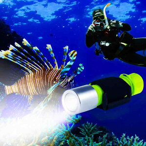 ShinePick _CrOCg LEDd Cg LED 18mm*65.0mm dr 1100LM p y u IPX8͖h [25Mgp\ 3iK nhXgbvt h/h/AEghAȂǂɓK