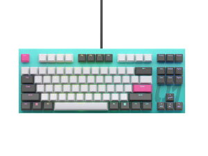 REALFORCE ���A���t�H�[�X ���s�b�h�g���K�[ �L�[�{�[�h ���v�� GX1 �É� 45g TKL�T�C�Y �Ód�e�ʖ��ړ_���� �ő�0.1mm�쓮 Windows