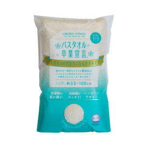 {^I oX^IƐ錾 MLWi~L[zCgj TCYFW33 D100 1400SS-MLW