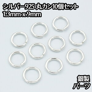 Vo[925 ۃJ Oa9mm ̑1.3mm 10Zbg p[c nhCh Vo[925  p[c֗ߋ`F[NXv  ANZT[ o`J