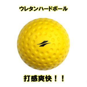 y20zE^n[h{[ FHUB-21 Ŋd̃obeBOKp{[@tB[htH[X