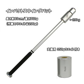 楽天市場 野球 素振り用バットの通販