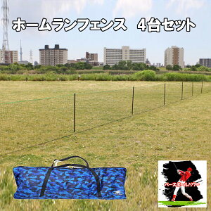 z[tFX lbg 4Zbg w싅 Ohp@싅 \tg{[ OtFX FHFN-1030 yFIELDFORCEzytB[htH[Xz